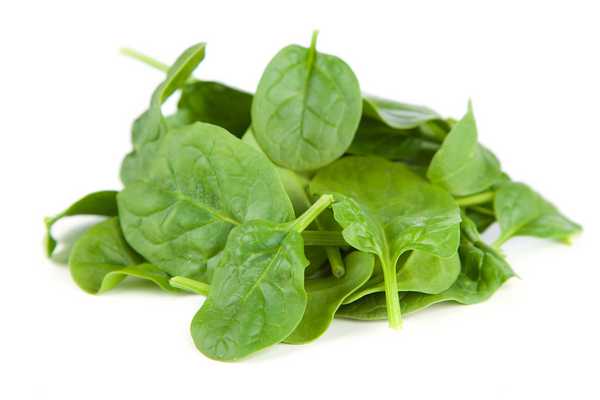 Baby Spinach (Pousse) 200g 