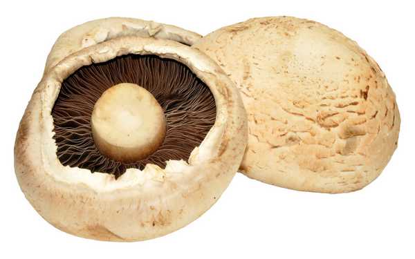 Flat Mushroom(s) 250g