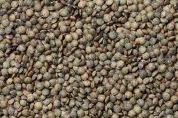 French Green Puy Lentils 1kg