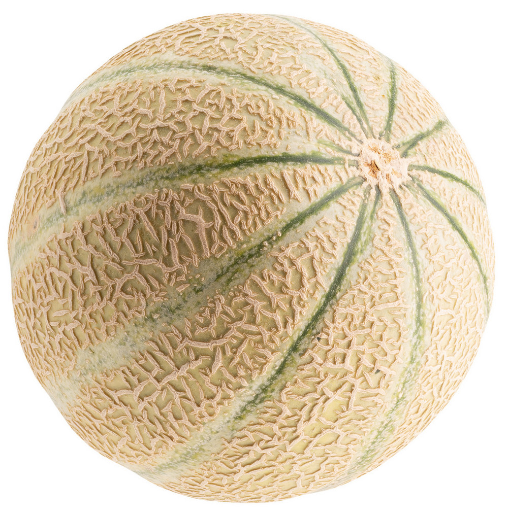 Cantaloupe Melon Order Online Fisher of Newbury