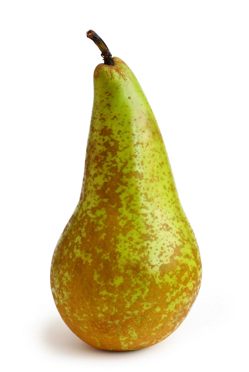 Conference Pears x 4 Order Online Fisher of Newbury