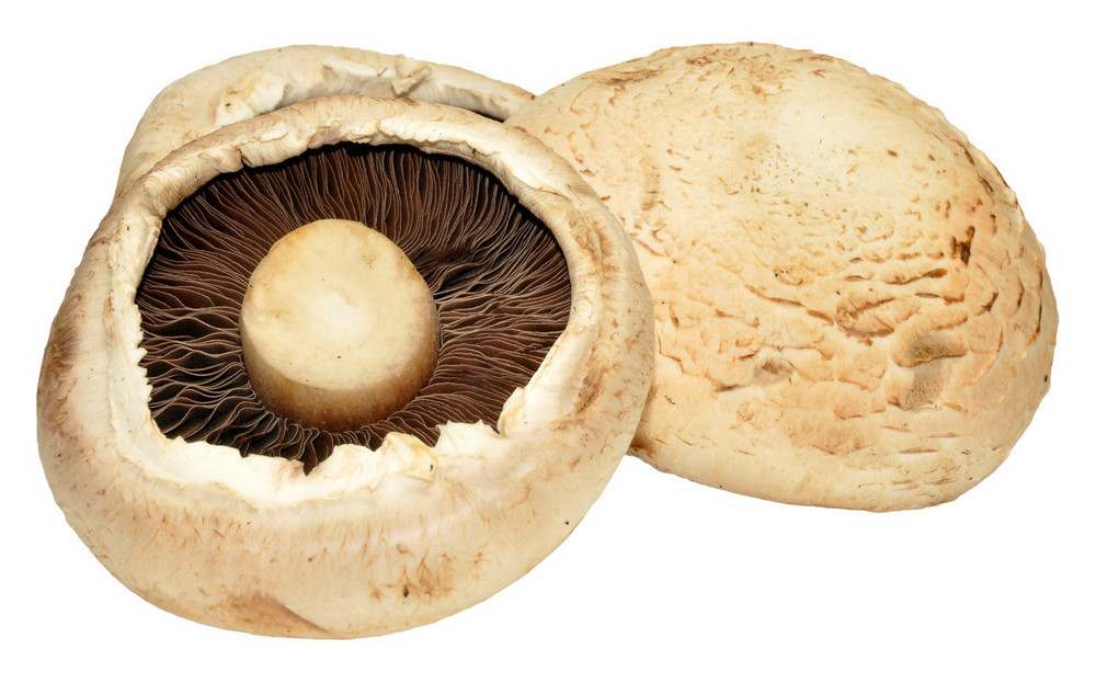 Flat Mushroom(s) 250g | Order Online | Fisher of Newbury