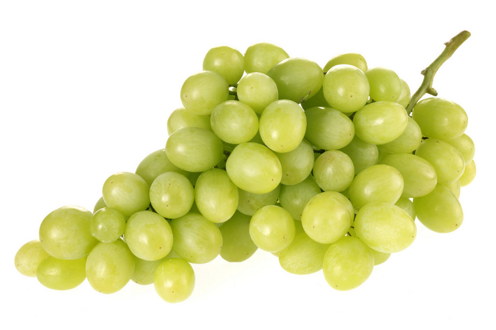 Green Grapes 500g Order Online Fisher of Newbury
