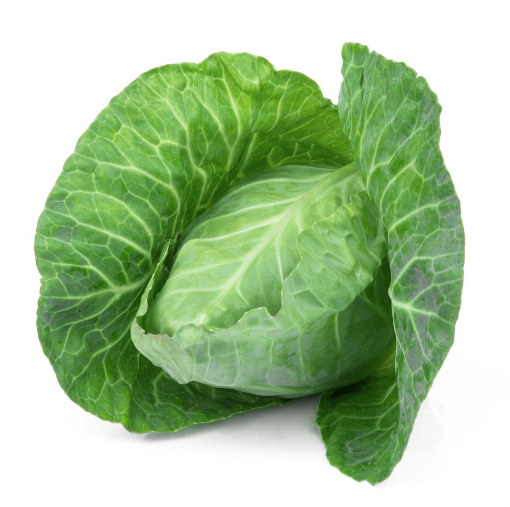 Hispi Cabbage Order Online Fisher of Newbury