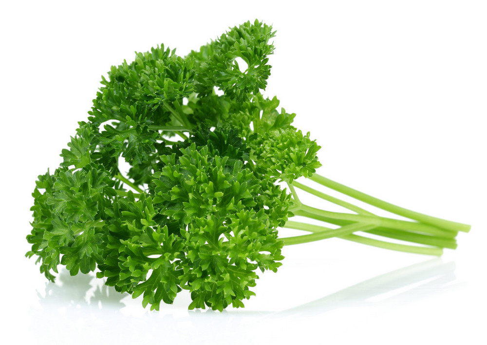Parsley Order Online Fisher of Newbury