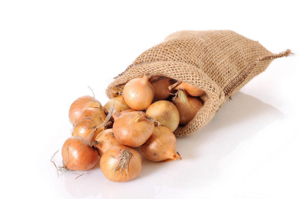 Sack of Large Onions 20kg Order Online Fisher of Newbury