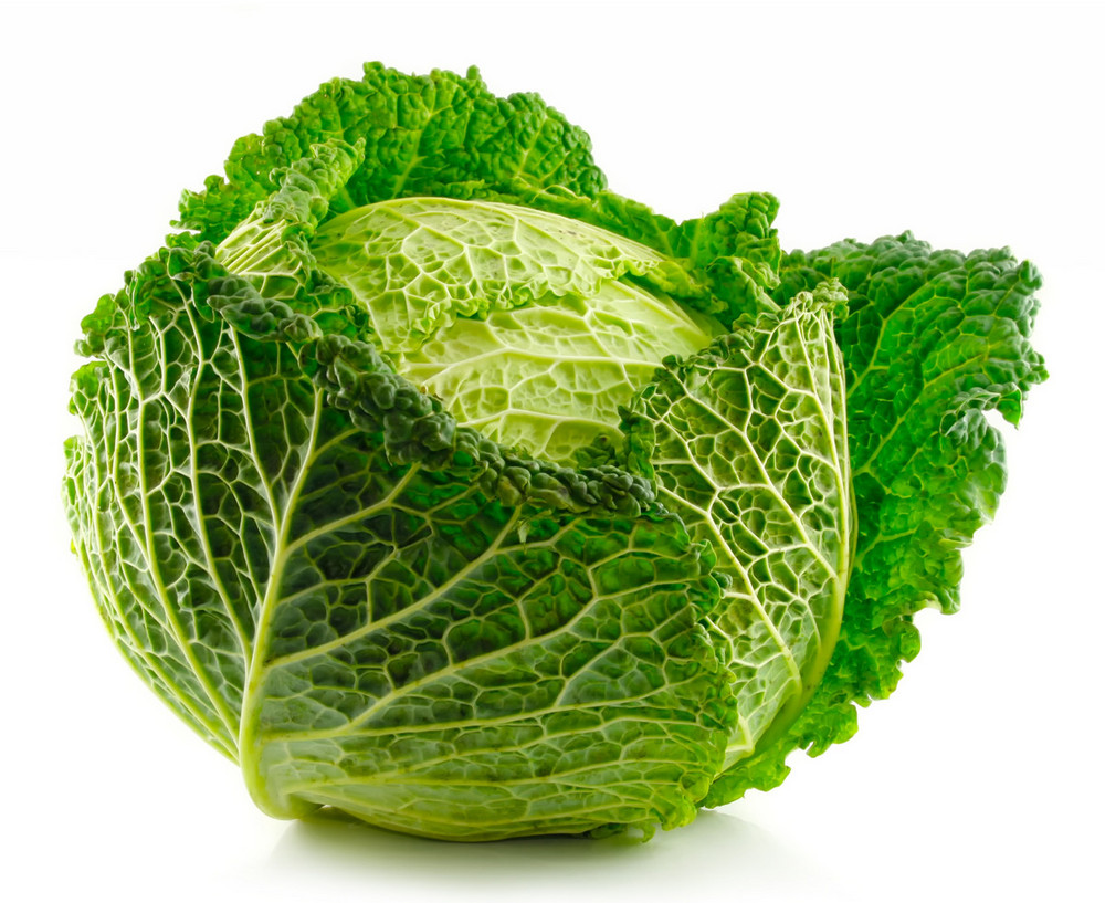 savoy-cabbage-order-online-fisher-of-newbury