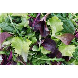 Baby Leaf Salad 125g