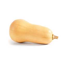 Butternut Squash