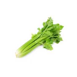 Celery Bunch (Allergen)