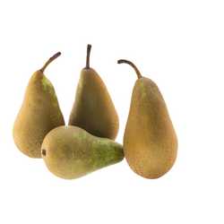 Conference Pears x 4