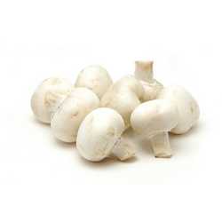 Cup Mushrooms 250g