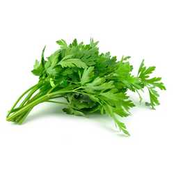 Flat Parsley