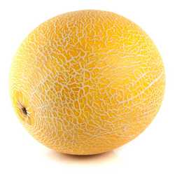 Galia Melon