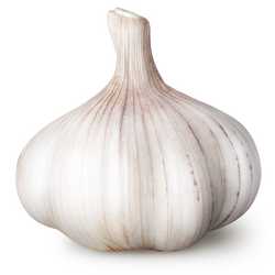 Garlic Bulb