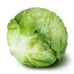 Iceberg Lettuce