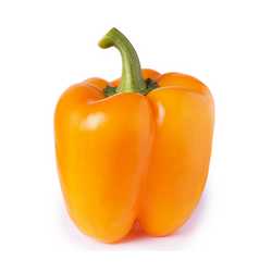 Orange Pepper