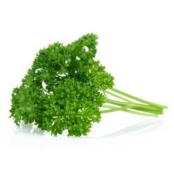 Parsley