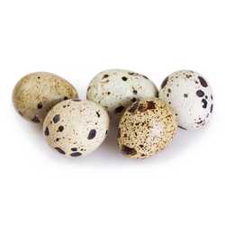 Quails Eggs x 18