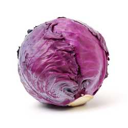 Red Cabbage