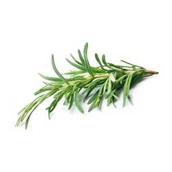 Rosemary