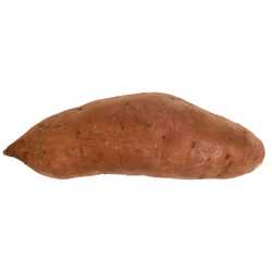 Sweet Potato (large)