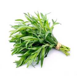 Tarragon