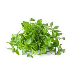 Watercress 100g