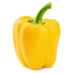 Yellow Pepper