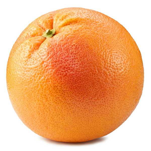 Pink Grapefruit Order Online Fisher of Newbury