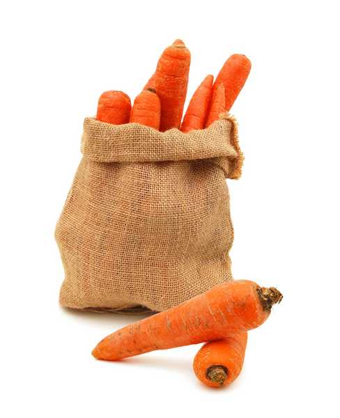 Sack of Carrots 10kg