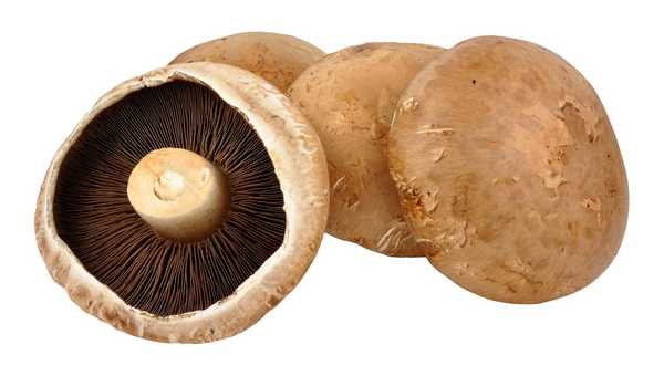 Portabello Mushroom(s) 250g