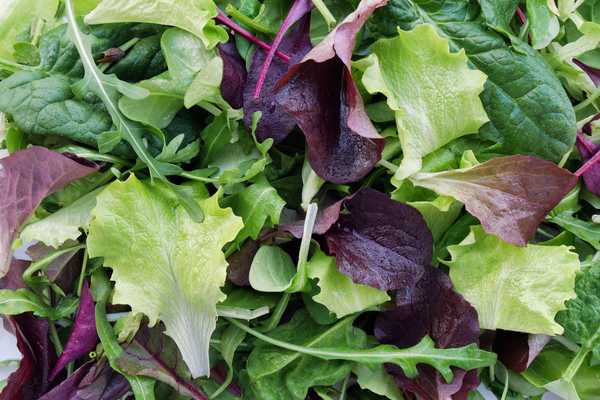 Baby Leaf Salad 500g