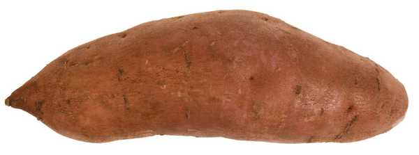 Sweet Potato (large)