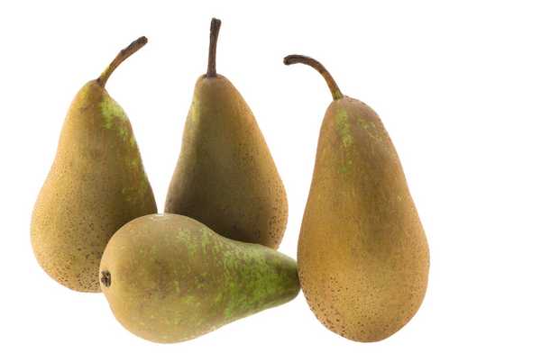 4 x Conference Pears