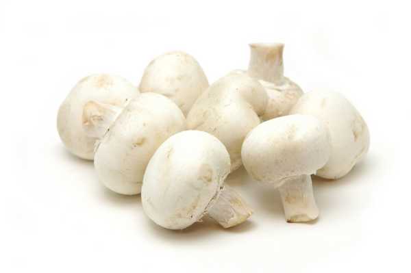 250g Cup Mushrooms