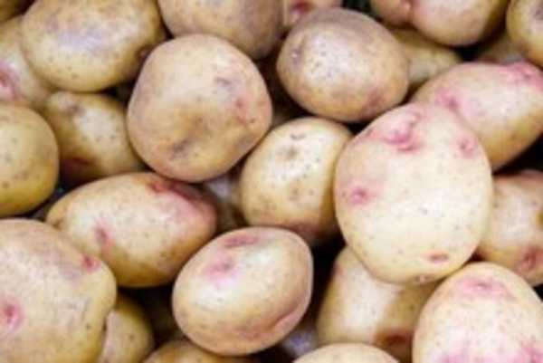King Edward Potatoes 1kg