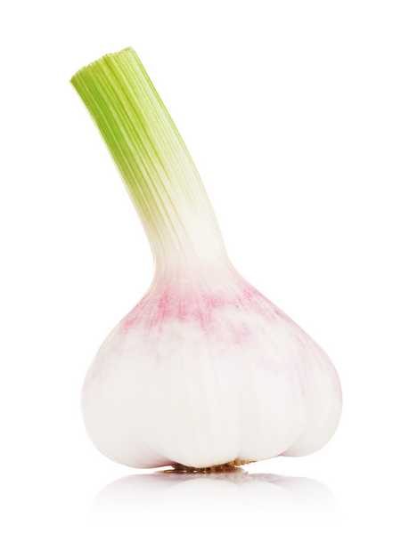 New Season Fresh Garlic Bulb