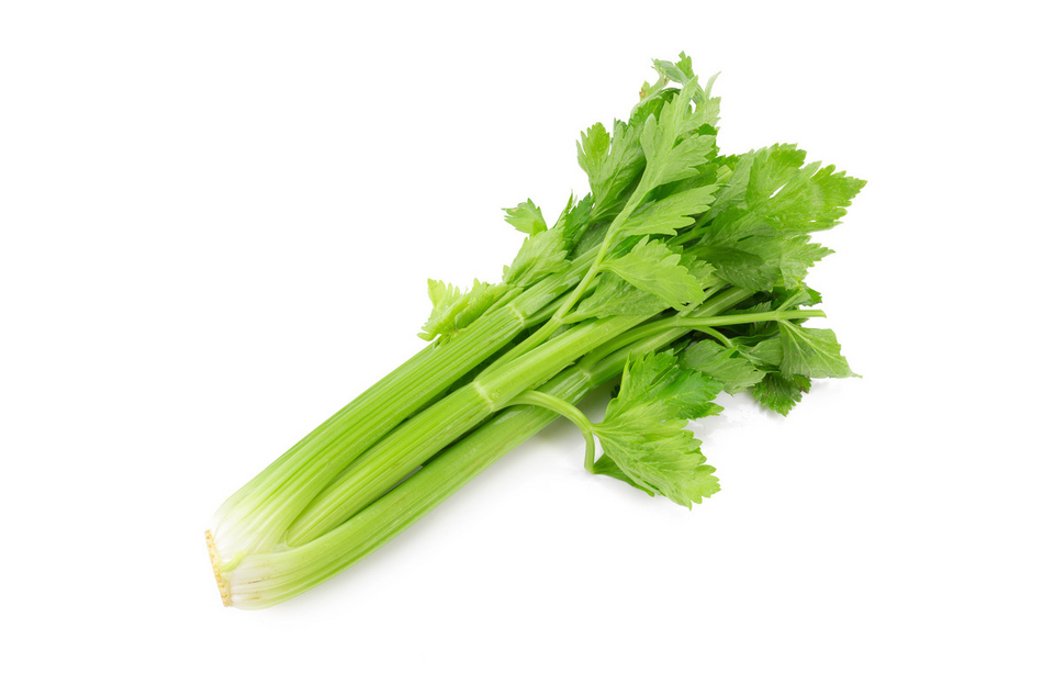 Celery Bunch (Allergen) Order Online Fisher of Newbury
