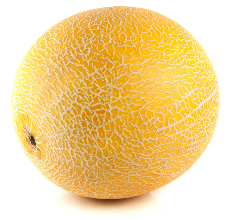 Galia Melon Order Online Fisher of Newbury