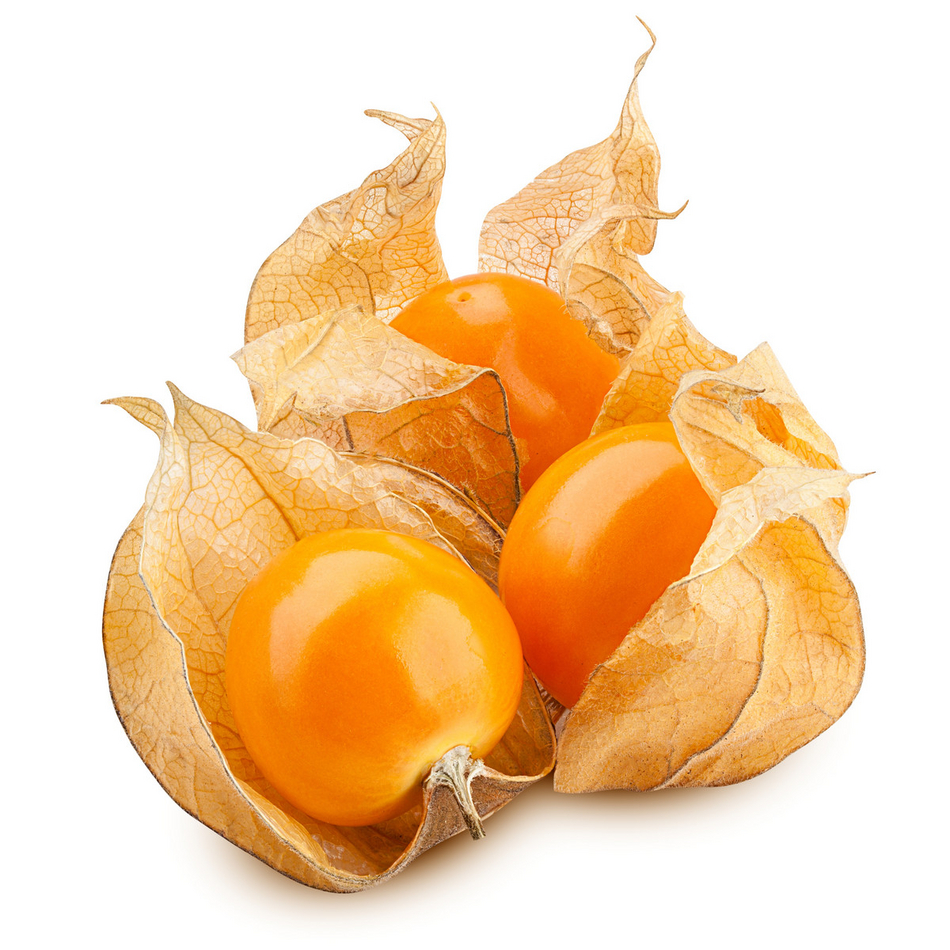 Physalis 100g Order Online Fisher of Newbury